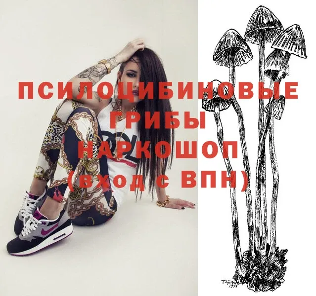 Псилоцибиновые грибы Psilocybe  Щёкино 